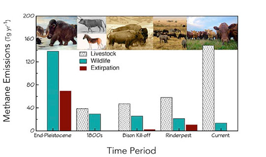 Enteric methane emissions by wild (teal) and domestic (spotted) herbivores